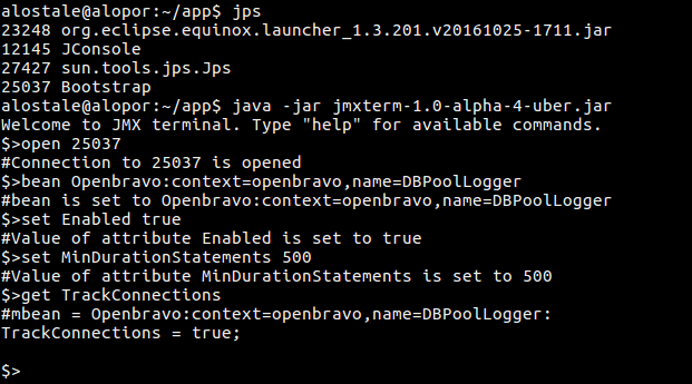 File:Jmxterm-pool-log.png