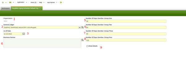 TPayables Aging Schedule Default Org.png